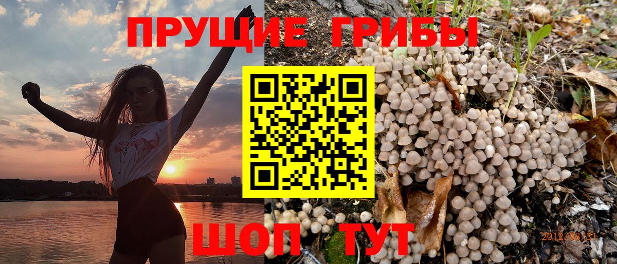 Псилоцибиновые грибы Psilocybe  Галлюциногенные грибы Magic Shrooms  Вход с VPN  закладки  Тосно 