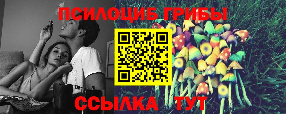Псилоцибиновые грибы Magic Shrooms Тосно